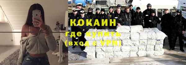 стафф Дмитровск