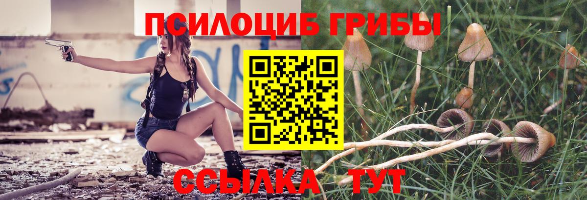 Санкт-Петербург  Псилоцибиновые грибы MAGIC MUSHROOMS  Вход с VPN  Галлюциногенные грибы Magic Shrooms 