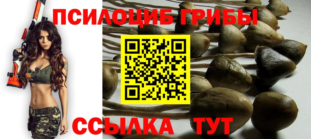 Галлюциногенные грибы Magic Shrooms Санкт-Петербург